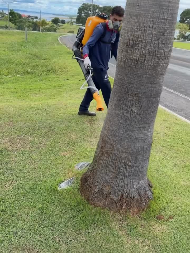 Tratamento de área externa e jardim