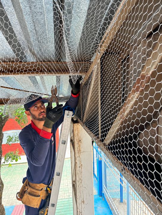 Instalação de barreira física contra aves